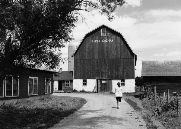 "Shirley Widmer walking in driveway of Elmer, Sr. & Jeanette Borgman farm on Spring Valley Road, southeast of Lomira."