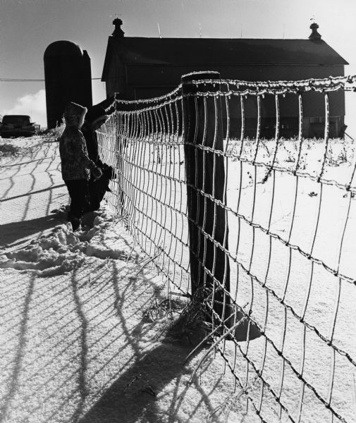 "Brenda & Kay Widmer examine an ice covered fence on the Jim Dobbe Farm (Sunny Brae Farm)."