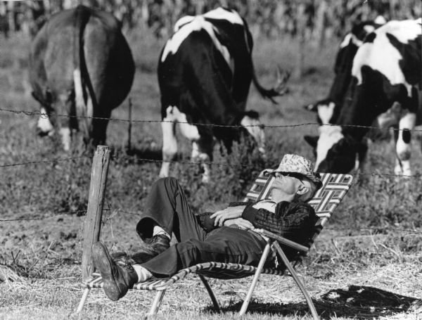 "Taking a snooze at the Ziemer auction."