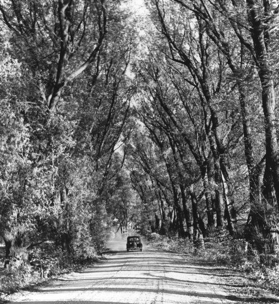 An automobile drives down a tree-lined dirt road which would later be rerouted.