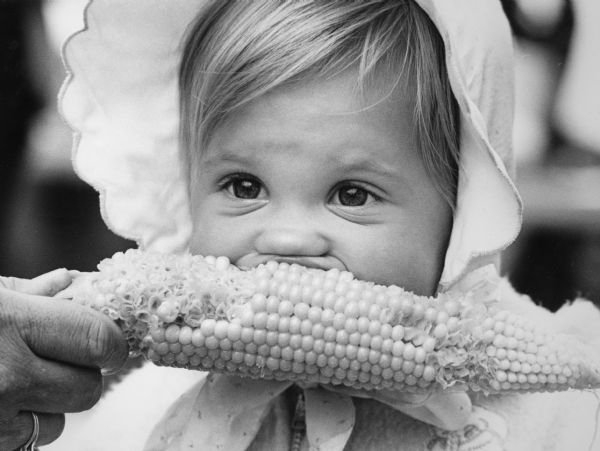 "Jeanna Jaster, 20-month old daughter of Tom and Norma Jaster, enjoyed some corn at the Theresa Lions corn roast."