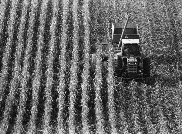 "Kenneth Boeck harvested a field of corn on the south village limits of Theresa."