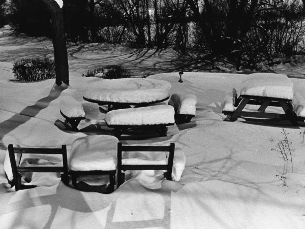 "The late, bright December full moon was the only light source for this snow scene. Exposure - 30 sec. @ f:5.6 - Tri-X film."