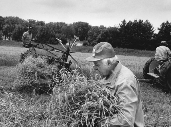 "Armond W. Behm helps in the harvesting."