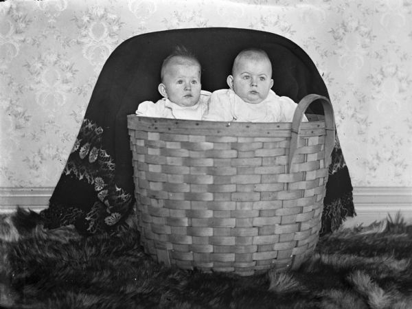 Edgar and Jennie Krueger, at age 6 months and 4 days, in a basket on a rug on the floor. A blanket is draped behind them. Edgar's weight is 22 pounds, Jennie's weight is 19 pounds.