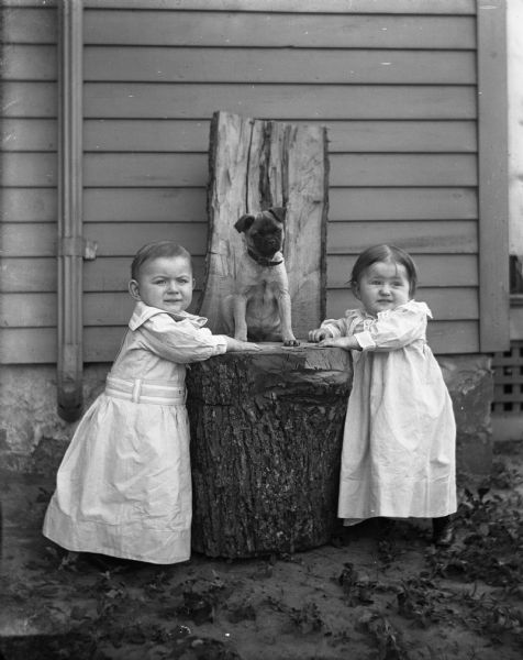 Edgar and Jennie Krueger as toddlers standing next to a dog perched on a chair made from a log.