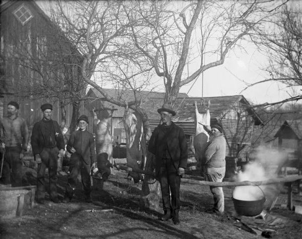 Rheinhardt Schmidt, August Krueger, Alex Goetsch, and Fred Hannaman standing in front of farm buildings, next to hogs hanging from a tree.
