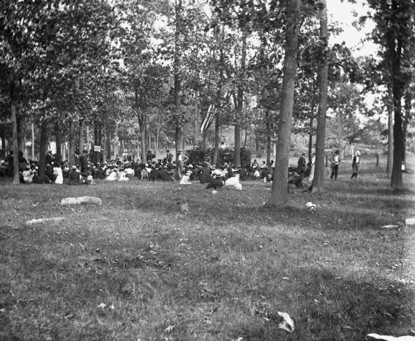 View of a crowd in Grosnick's Woods during a picnic of the farmers of Dane County.
