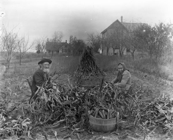 William and Johanna Krueger are sitting in chairs husking corn in a cleared field. A large pile of corn stalks is piled in front of them, with a barrel of husked corn in front of that. A corn shock is standing a few feet behind them. Farm houses and trees are in the background.