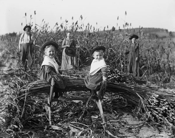 Jennie and Edgar Krueger are sitting on a stacked pile of harvested sorghum stalks. Edgar is holding a piece of the top of the plant in his hands. August, Sarah, and Florentina Krueger are standing behind the children holding stalks of sorghum as they harvest it.