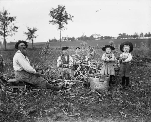 August, Mary, Tina, Saraphina, Jennie and Edgar Krueger husking corn.