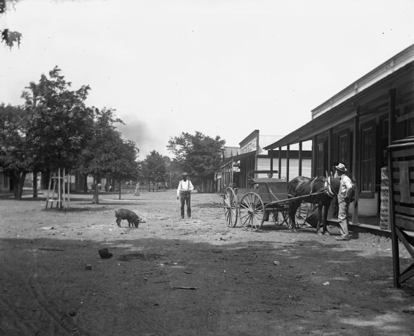 View down Main Street, with businesses on both sides. A row of trees acts like a median along the road. Ernst Goetsch is standing in the middle of the road looking at a razorback that is standing several feet in front of him. Paul C. Goetsch is standing next to his horse and cart further up the street.