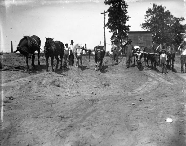 Group portrait of four men and two boys standing with horses, oxen and mules hitched up to drag scrapers, to reconstruct a dirt road. A small building, power pole, fence and trees are in the background.