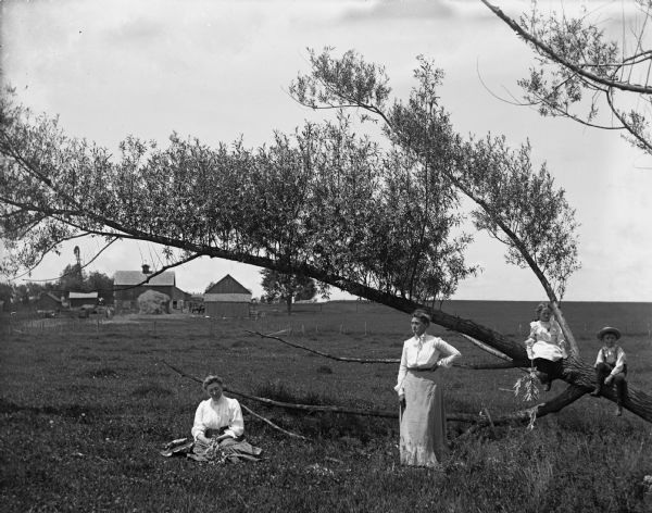 Sarah, Florentina, Jennie, and Edgar Krueger resting near a leaning willow tree in a pasture. The children are sitting in the tree, Sarah is sitting on the ground, and Florentina is standing in front of the tree. Farm buildings are further up the pasture in the background.