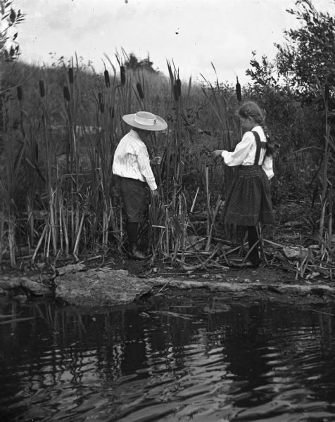 View across water towards Edgar and Jennie Krueger playing with cattails on the shoreline along Lime Kiln Pond.
