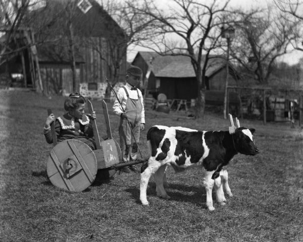 Jennie and Edgar Krueger with two twin calves attached to each other with a yoke. Jennie is sitting in a small cart that is pulled by the two calves. Edgar is standing next to them with a whip in his hands. A barn is in the background.