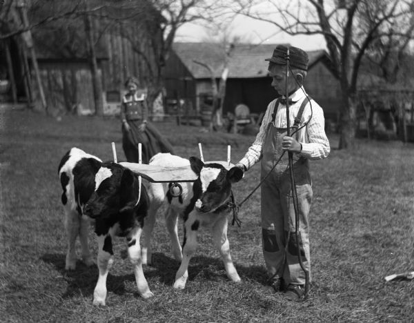 Edgar Krueger with twin calves wearing small ox collar.