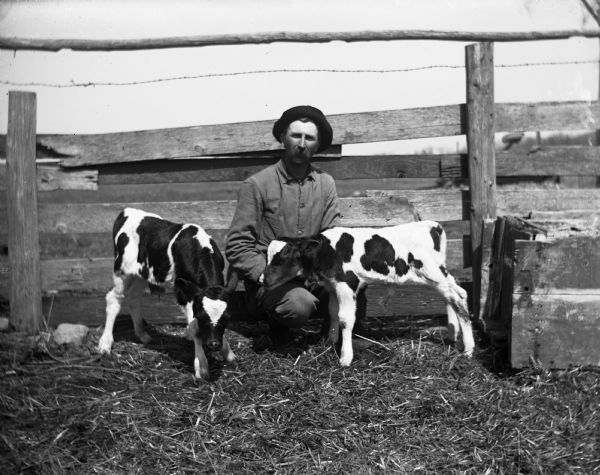 Alexander Krueger kneeling down with two twin calves next to a fence in the cow pasture.