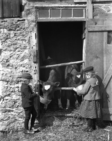 Edgar and Jennie Krueger feeding calves through the barn door.