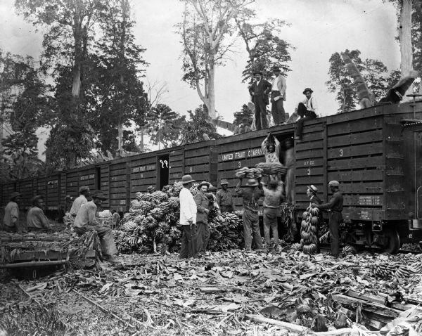 Group of men loading a large pile of bananas onto a train in Costa Rica. Three men wearing suits and hats are sitting and standing on top of the railroad car. Sign on railroad car reads: "United Fruit Company."