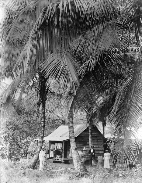 Family posing outside of their home in Costa Rica. The house stands under several coconut palms.