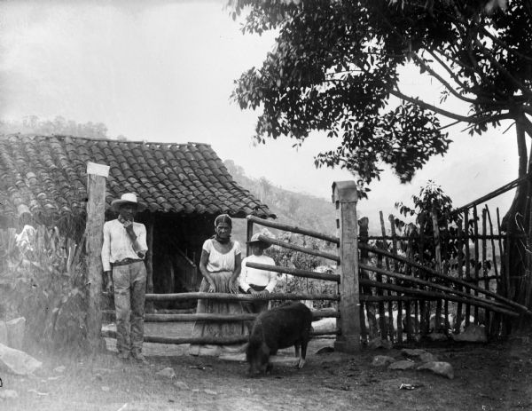 A Costa Rican family standing outside their home or farm building along a fence. A pig stands in the foreground with a board tied around its neck sniffing along the ground. In the background a wagon is stored in a tile roofed open shed.