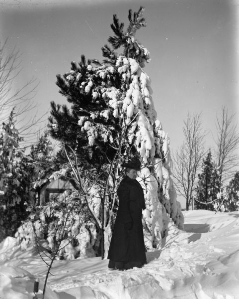 Outdoor portrait of Mary Krueger standing next to a snow-covered pine tree. There is a small farm building behind the pine tree.