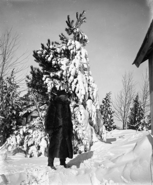 Winter scene with August Krueger standing in the snow next next to a snow covered pine tree.