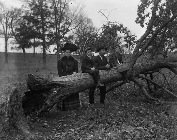 Outdoor Portrait of the Alexander Kruger family posing on and behind a large fallen tree. Florentina and Alexander Kruger are standing behind the tree, while Edgar and Jennie Krueger are sitting on top of it.