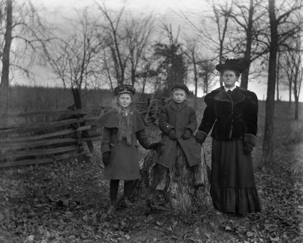 Outdoor portrait of Jennie, Edgar, and Florentina Krueger next to a tree stump on Loock's hill.  Edgar is sitting on the stump while Florentina and Jennie are standing on either side of him.