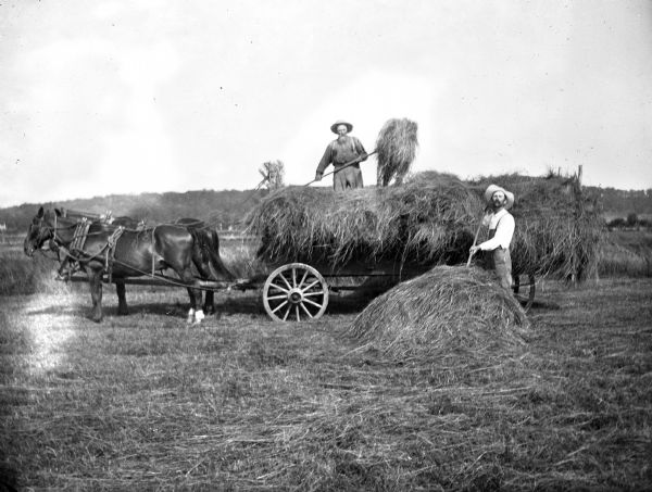 August and Alexander Krueger loading hay with pitchforks onto a wagon with a two-horse team attached. August is standing on top of the wagon while Alexander is standing on the ground next to a small haystack.