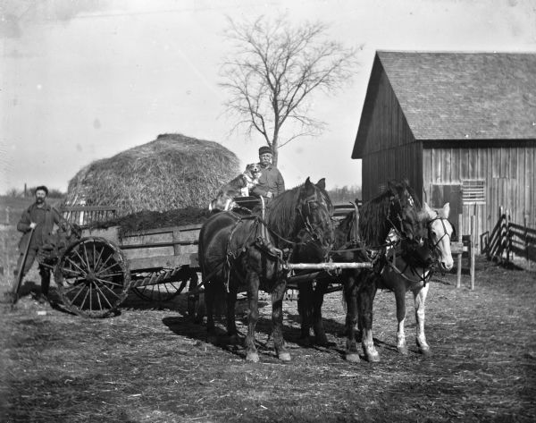 Alexander and August Krueger spreading manure with a Litchfield spreader pulled by a three horse team. August is sitting on top of the spreader with the family dog, while Alexander is following behind the spreader.