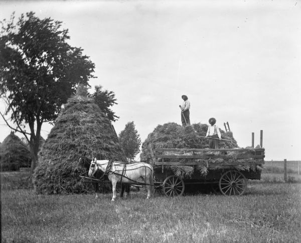Alexander and August Krueger stacking grain. Alexander is standing on top of a tall pile of hay on a wagon, piling grain on the stack, while August is standing lower down the stack managing the pile. A two-horse team is attached to the wagon. The horses are wearing fly-nets.