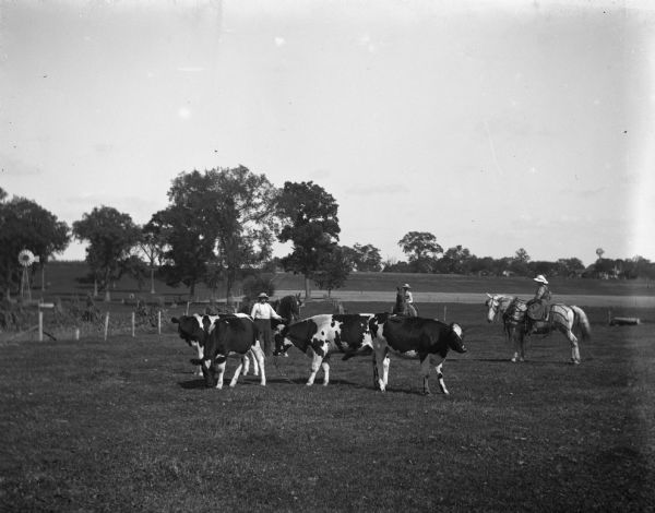 Jennie, Edgar, and August Krueger herding a group of four cows in a pasture. The bull in the middle has a long chain attached to its nose. Edgar and Jennie are on horseback while August is standing next to his horse holding its reins. Jennie's horse is wearing a fly-net. There is a small windmill in the background on the left.