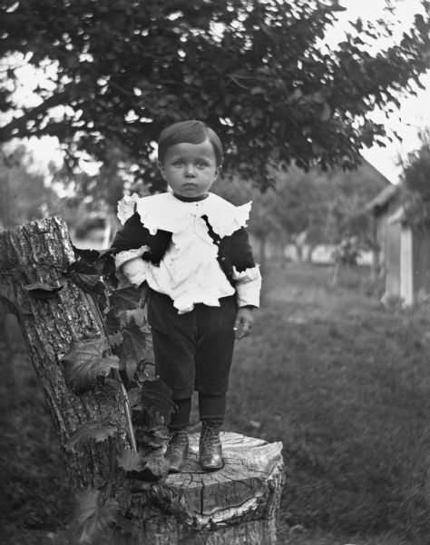Outdoor portrait of Eddie Wendorf standing on a tree stump which has been fashioned into a chair.