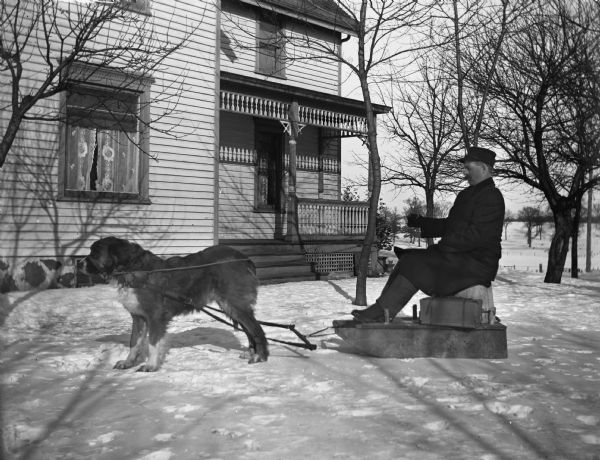 Emil Bigalk sitting on a dogsled in the front yard. A St. Bernard is attached to the sled.