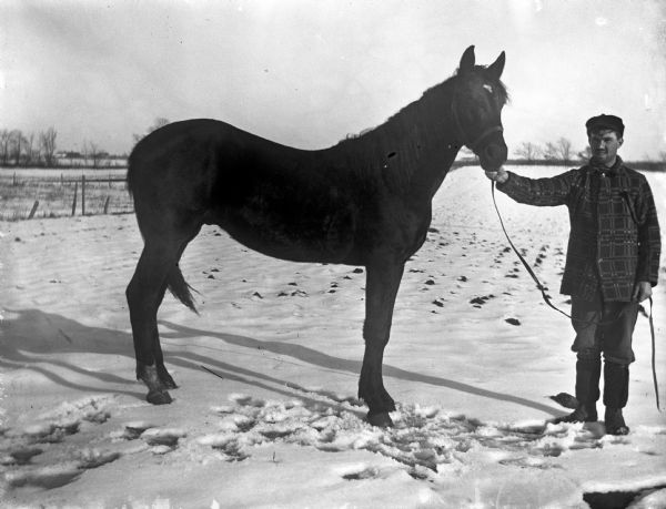 August Kressin standing and holding the halter and bridle of a horse in a field during winter.