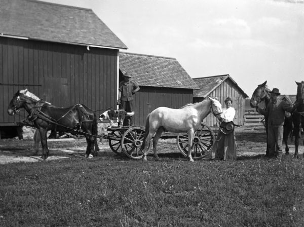 Family posing in a yard with several horse teams on their farm. One man is standing on a wagon attached to a two horse team with his dog. Next to the wagon, a women is holding the halter of a white horse. Another man is standing next to her holding the reins of another two horse team. Farm buildings are in the background.