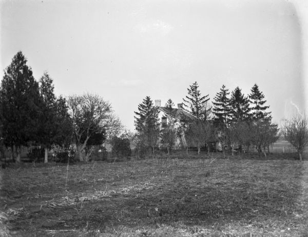 View across cleared field toward a farmhouse behind a row of pine trees.