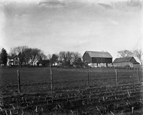 View across a field and fence towards the Krueger farm, with the new dairy barn.