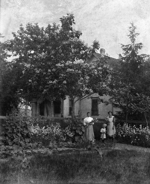 View across grass towards Mary and Jennie Krueger, and a young girl between them, standing in a flower garden along a fence. All three are holding flowers. The tree above them is flowering. In the background is a house.