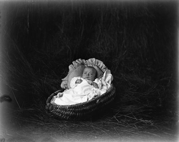 Indoor portrait of Robert E. Krueger lying in a handwoven basket against a pillow set in the hay in the barn.