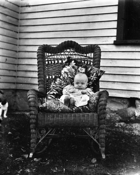 Outdoor portrait of Robert Krueger propped up with pillows in a wicker rocking chair near the side of a house. A cat is standing near the chair on the left.