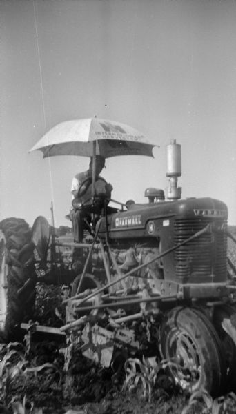 View from front of Edgar Krueger driving a Farmall tractor in a corn field. There is an umbrella with the International Harvester logo on the tractor shading Edgar.