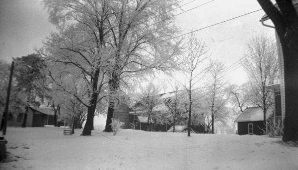 View of the yard on the Krueger farm after a fresh snow. The trees and farm buildings are white with snow. A swing hangs from one of the trees.