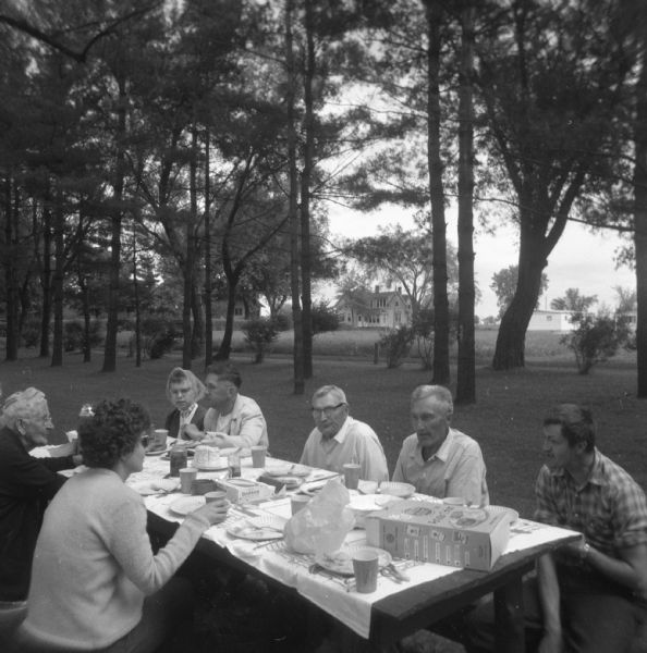 Group of people picnicking together at a picnic table in a park. Plastic silverware, paper cups and plates, and a box of potato chips sit on top of the tablecloth covering the table. Houses are in the background behind a row of trees.