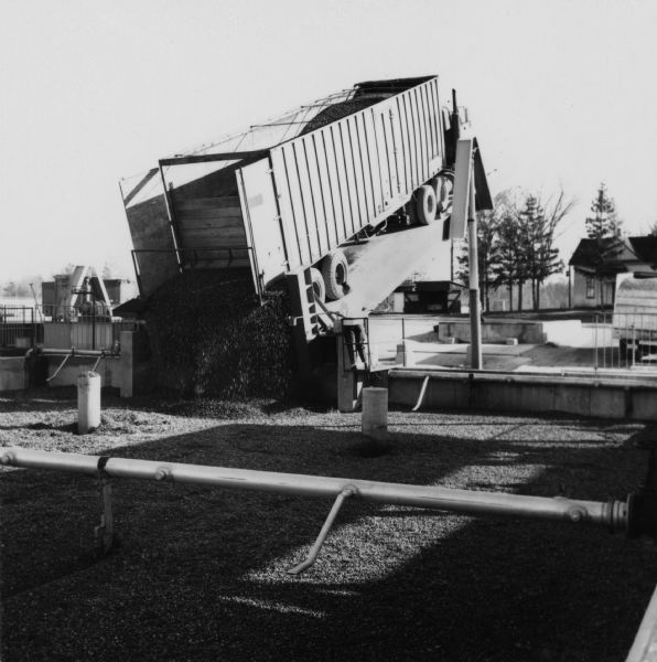 A large truckload of cranberries being unloaded into a large open storage tank. The truck has been lifted into the air on a large platform, and a woman stands on a small platform near the back of the truck holding a long implement.