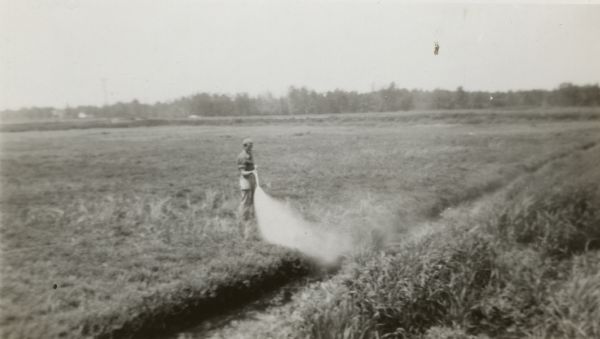Irving R. Bennett, of the A.E. Bennett & Son Cranberry Marsh, spraying cranberry marshes for pest and weed control. The hose was attached to a rig that could run two hoses at the same time. According to notes on the back of the photograph the other hose was working on another section of the marsh, not pictured.