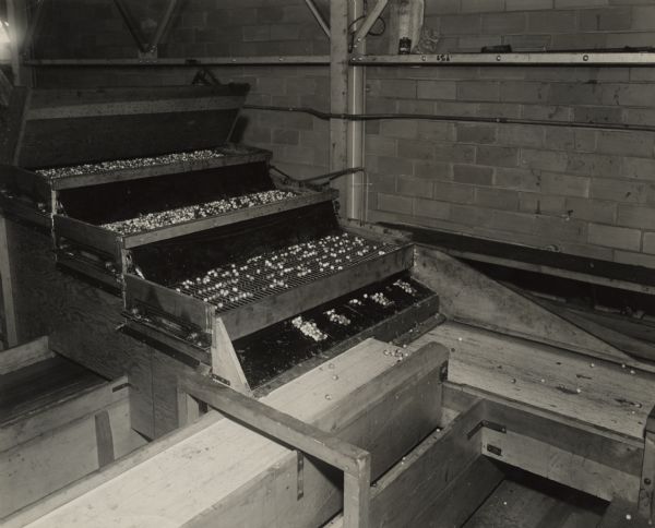 Machinery used for grading cranberries. As the berries move through the machine the are sorted by size and deposited on the appropriate conveyor belt for processing. This machine was owned by the Central Cranberry Company.
