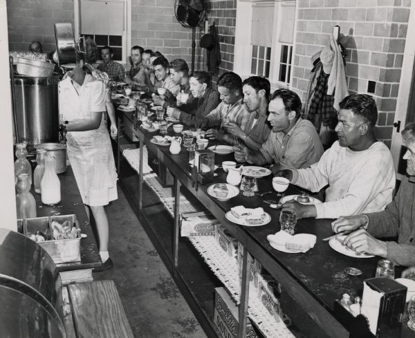 Lunch counter during harvest season at a Wisconsin cranberry marsh. Cranberry pickers enjoy a break and lunch during the busy harvest season.